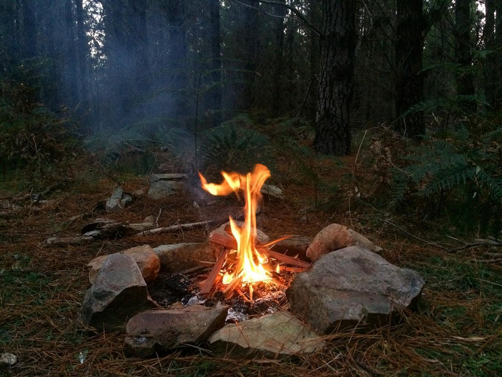 June. A daybreak campfire.